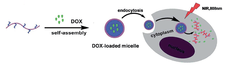 Photo-reaction of drug loaded amphiphilic copolymer micelle