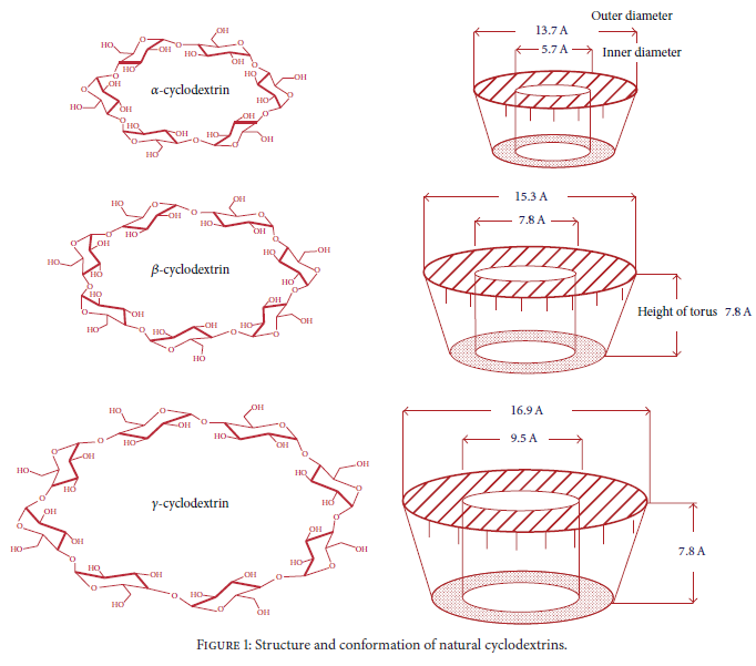Structure and conformation of natural cyclodextrins