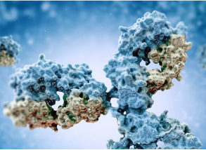 DNA Modification Antibodies