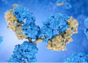 RNA Analysis Antibodies