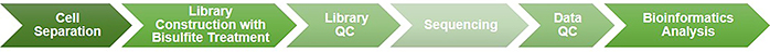 Workflow of Single-cell Reduced Representation Bisulfite Sequencing (scRRBS) at Creative BioMart