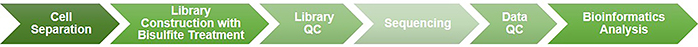 Workflow of single-cell whole-genome bisulfite sequencing (scWGBS) at Creative BioMart