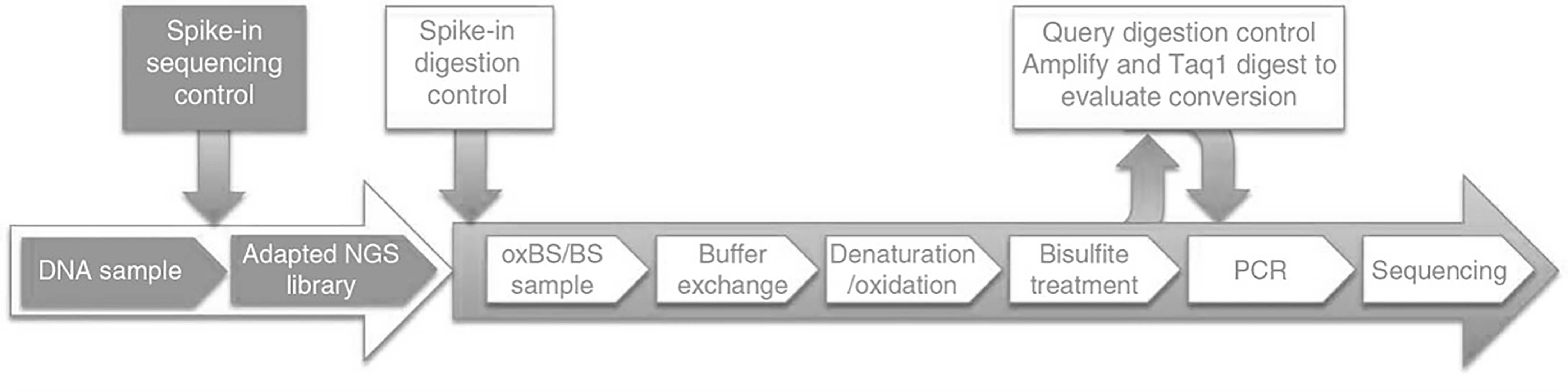 Workflow of oxidative bisulfite sequencing (oxBS-Seq) at Creative BioMart 