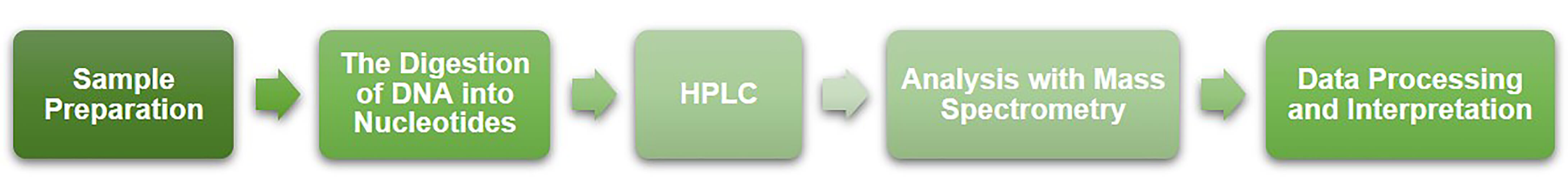 Workflow of Global DNA 5hmC Quantification by LC-MS/MS at Creative BioMart 