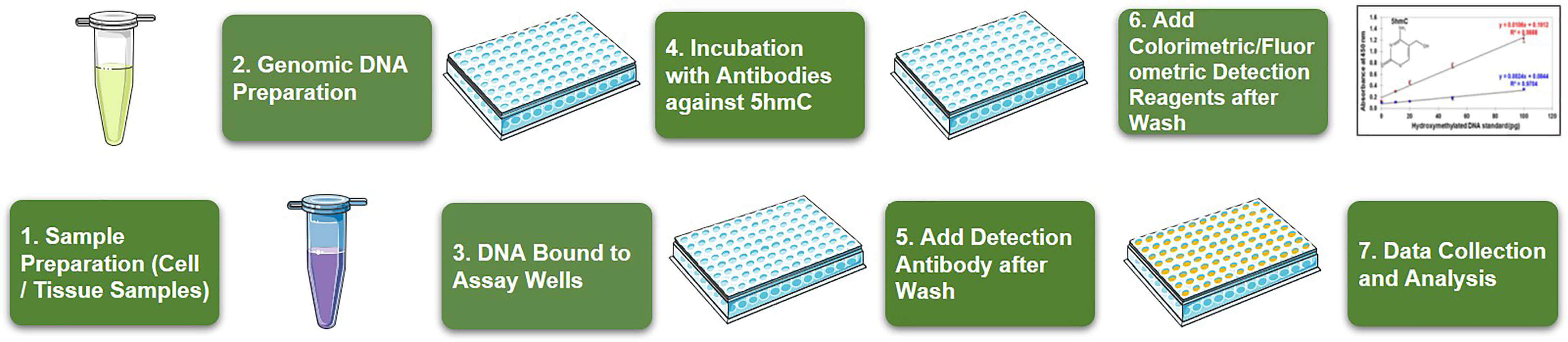 Workflow of Global DNA 5hmC ELISA Quantification at Creative BioMart 