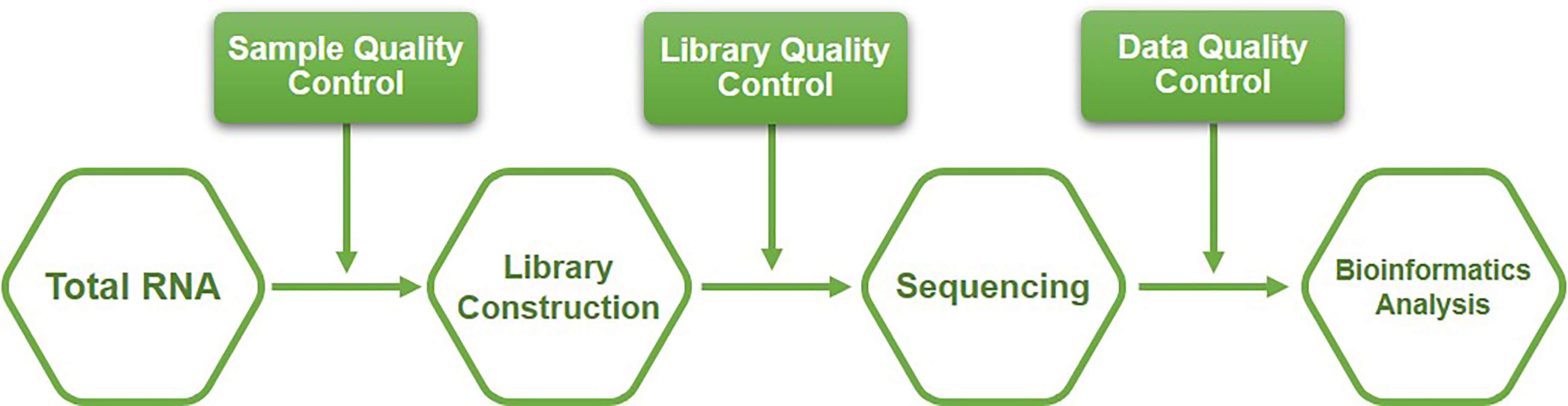 Workflow of mRNA sequencing service at Creative BioMart