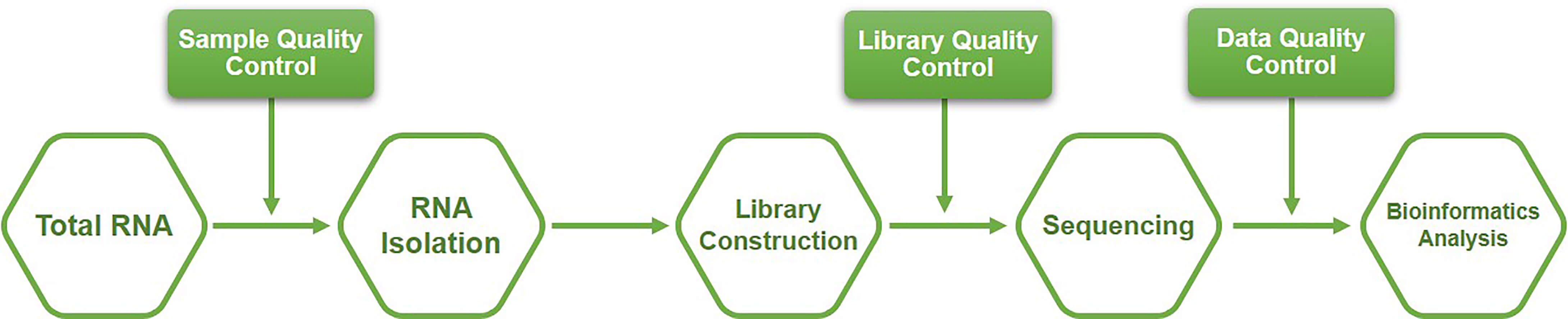 Workflow of long non-coding RNA (lncRNA) sequencing service at Creative BioMart