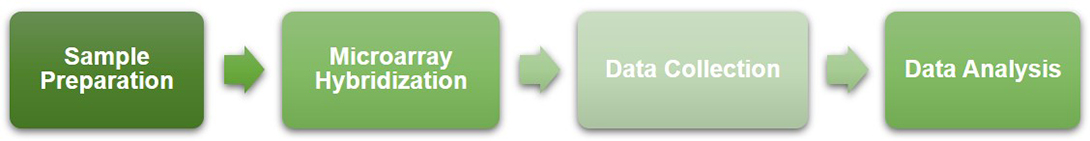 Workflow of DNA methylation microarray service at Creative BioMart 