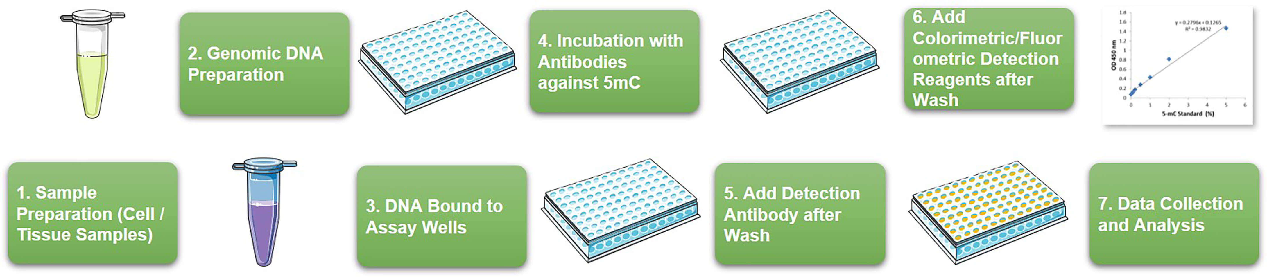 Workflow of Global DNA 5mC ELISA Quantification at Creative BioMart 