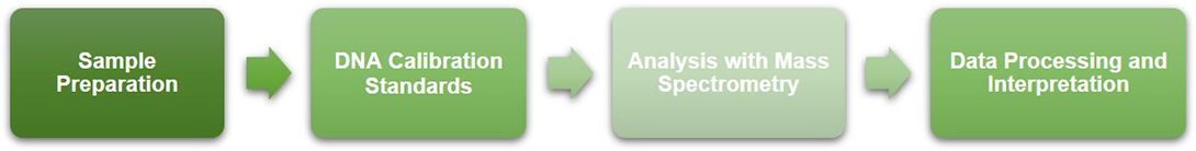 Workflow of Global DNA 5mC Quantification by LC-MS/MS at Creative BioMart 