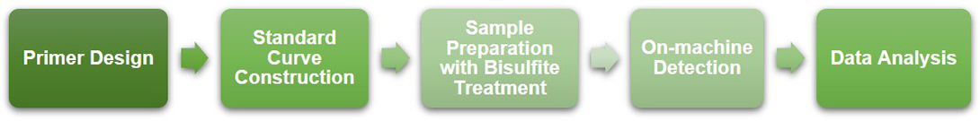 Workflow of methylation-sensitive high-resolution melting (MS-HRM) analysis service at Creative BioMart 