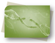 Biochemical Assays