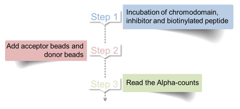 Procedure of chromodomain screening assay