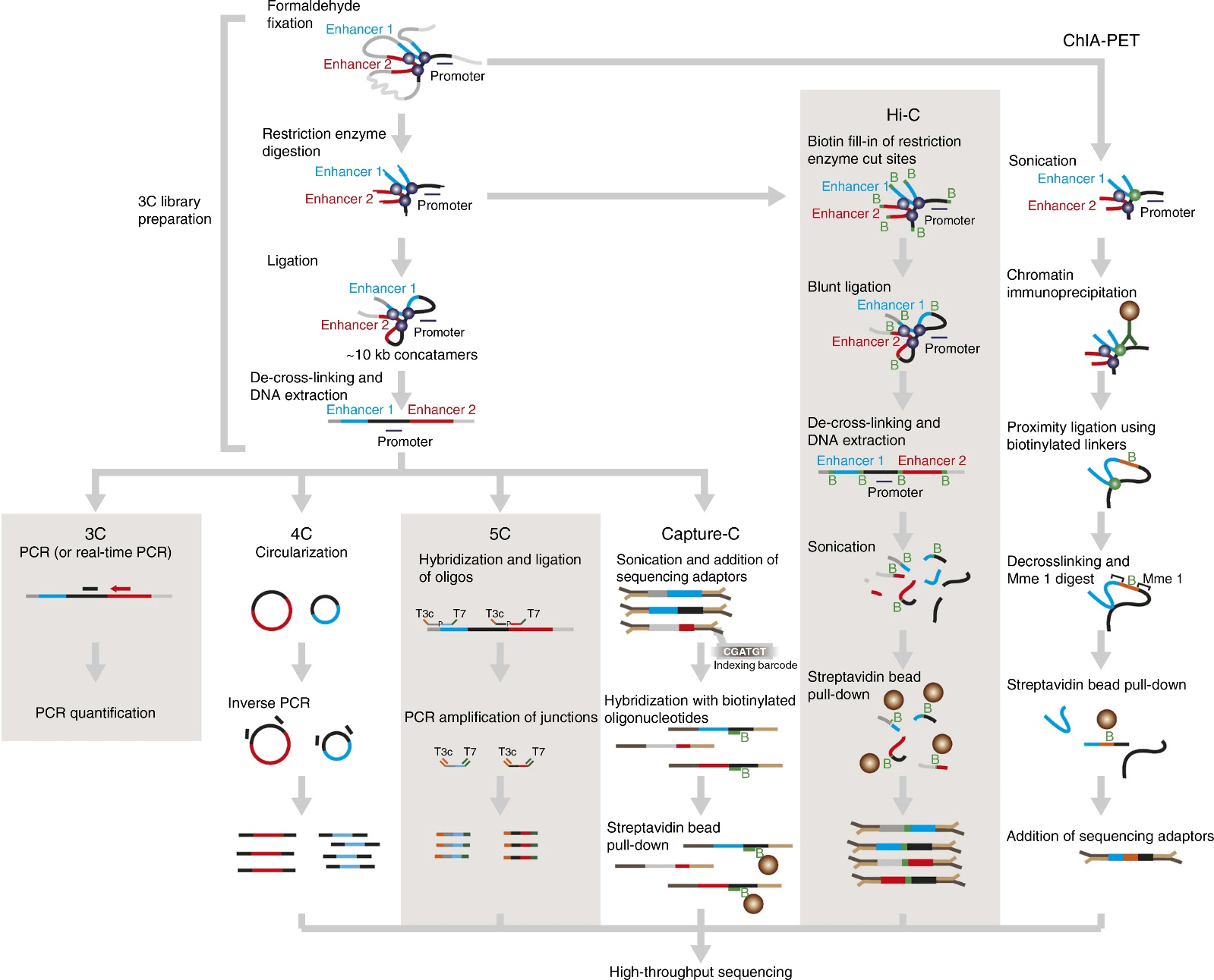 Comparison of Different 3C-based Methodologies.