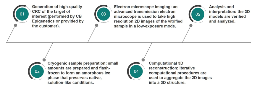 Workflow of Cryo-EM for CRC Service at Creative BioMart