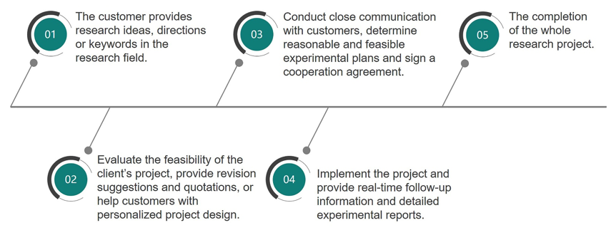 Workflow of Custom Research Project Service