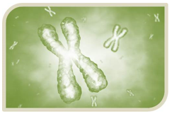 Demethylase Screening