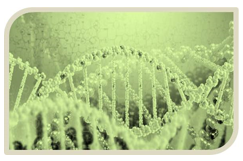 Demethylase Screening