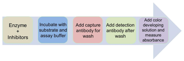 Schematic procedure of colorimetrical method for DNMT screening assay