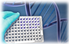 Chromosome Conformation Capture