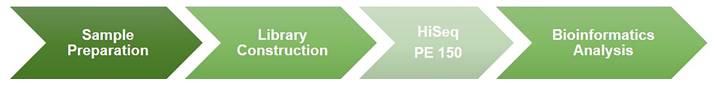 Workflow of Hi-C Sequencing Service at Creative BioMart