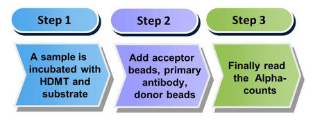 General procedure of chemiluminescent method for HDMT screening assay