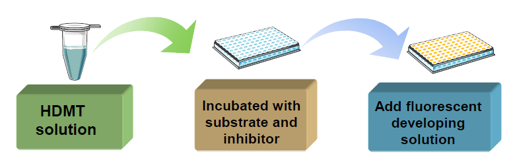 Schematic procedure of fluorometrical method for HDMT screening assay