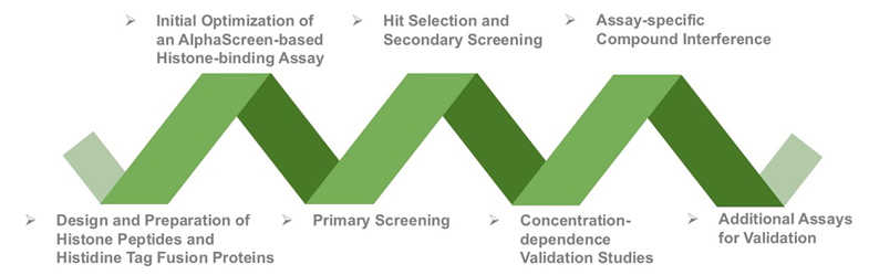 Workflow of Our Service at Creative BioMart