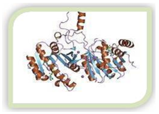 Methyltransferase Screening