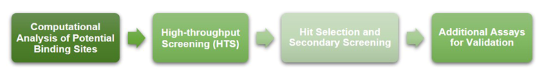 Workflow of Our Service at Creative BioMart.