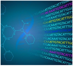 Cell-based Epigenetic Assays