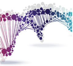 Cell-based Epigenetic Assays