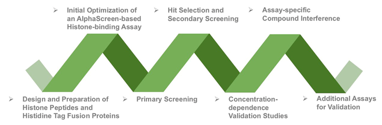 Workflow of Our Service at Creative BioMart