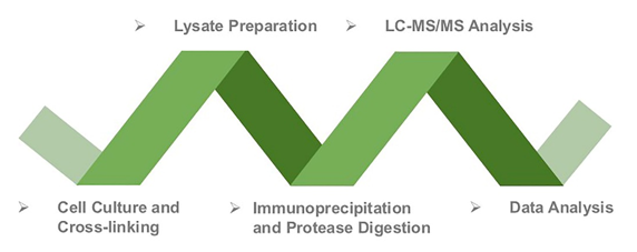 Workflow of RIME service at Creative BioMart