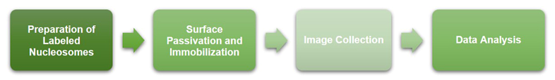 Workflow of smFRET Service at Creative BioMart