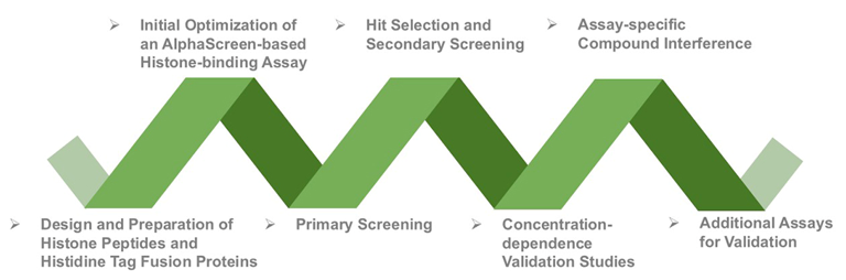 The Procedure of Tudor Domain Screening Assay 