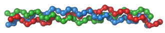 Collagen Proteins 