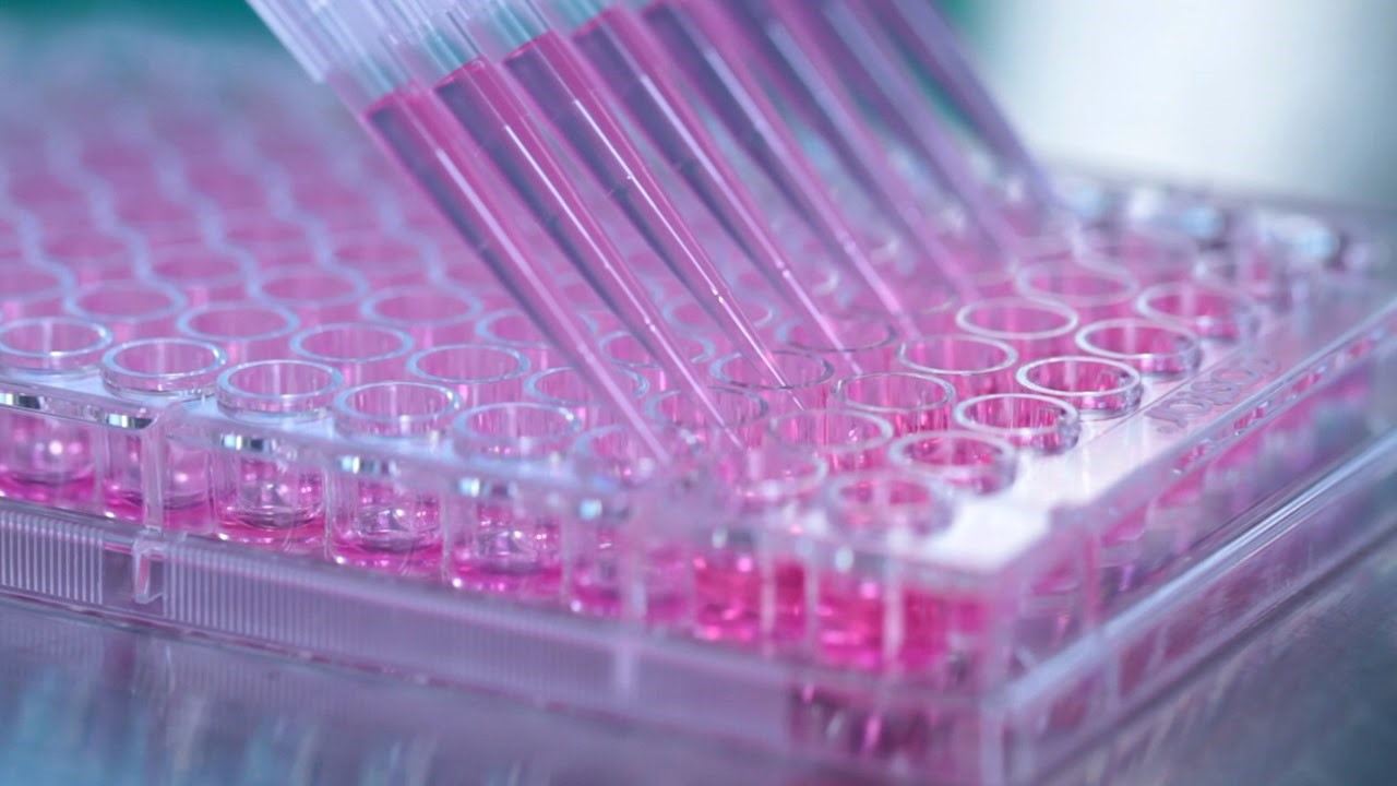 Assay kits