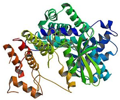Crystal structure of human cyclin D1.