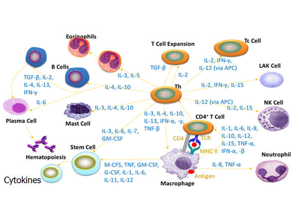 Cytokines