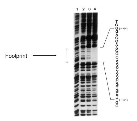 Example Data