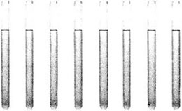 Principal and Protocol of  Protein Concentration Measurement by UV 