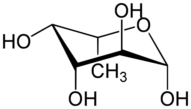 Fucose-free Protein Expression System