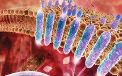 GPCR