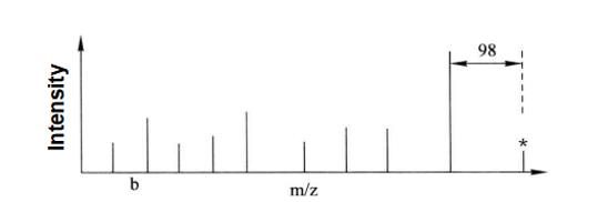 Guide for Mass Spectrometric Identification