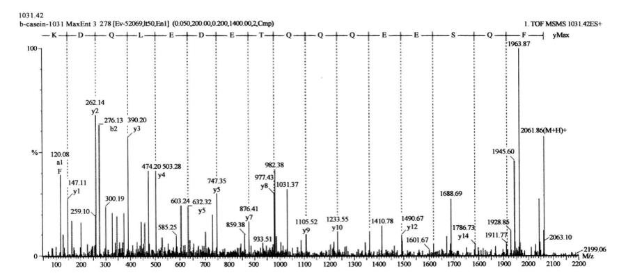 Guide for Mass Spectrometric Identification