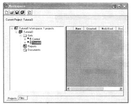 Guide of Analysis of Differentially Expressed-Proteins