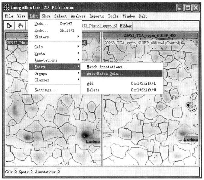 Guide of Analysis of Differentially Expressed-Proteins