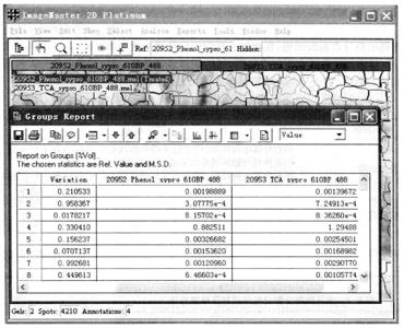 Guide of Analysis of Differentially Expressed-Proteins