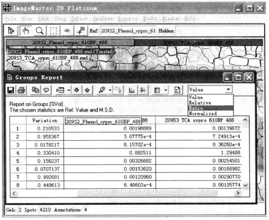 Guide of Analysis of Differentially Expressed-Proteins